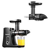 Algopix Similar Product 4 - Slow Juicer Attachment Compatible with