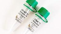 Algopix Similar Product 14 - NEBNext Ultra II End RepairdATailing