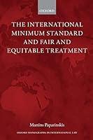 Algopix Similar Product 16 - The International Minimum Standard and
