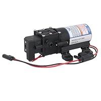 Algopix Similar Product 1 - Everflo 40 GPM 12V Diaphragm Pump