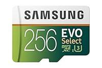 Algopix Similar Product 18 - SAMSUNG MBME256GAAM 256GB 100MBs