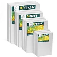 Algopix Similar Product 1 - 12 Pack Stretched Canvases for Painting