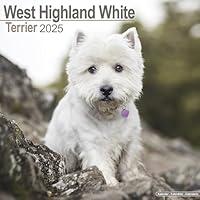 Algopix Similar Product 5 - West White Highland Terrier Calendar