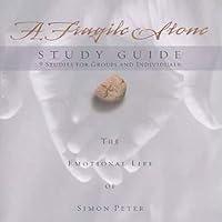 Algopix Similar Product 18 - A Fragile Stone The Emotional Life of
