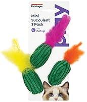 Algopix Similar Product 2 - Petstages Mini Succulent Catnip Feather