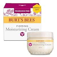 Algopix Similar Product 15 - Burts Bees Renewal Firming Face Cream