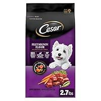 Algopix Similar Product 10 - CESAR Small Breed Dry Dog Food Filet