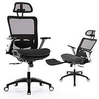 Algopix Similar Product 7 - Ergonomic Mesh Office Chair with