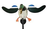 Algopix Similar Product 10 - Baby Mojo (Drake) Mojo Decoys Hw4401