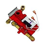 Algopix Similar Product 20 - DOMETIC 90268 Modulating Valve Assembly