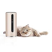 Algopix Similar Product 13 - PETKIT SPCGY Smart WiFi Video Pet