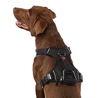 Algopix Similar Product 15 - KONG Ultra Durable Waste Bag Harness