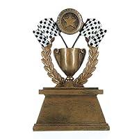 Algopix Similar Product 1 - Decade Awards Racing Checkered Flag