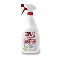 Algopix Similar Product 11 - Natures Miracle Stain  Odor Remover