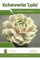 Algopix Similar Product 6 - Echeveria Lola Succulent Handbook