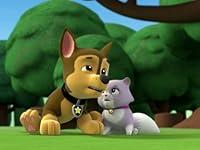Algopix Similar Product 19 - Pups and the KittytastrophePups Save