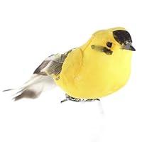 Algopix Similar Product 11 - Package of Bright Yellow and Black