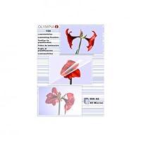 Algopix Similar Product 7 - OLYMPIA - 100 pcs. - Lamination Film