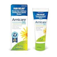 Algopix Similar Product 4 - Boiron Arnicare Gel for Soothing Relief