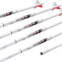 Algopix Similar Product 20 - Easton Beman Out Arrow Size 400 29