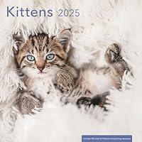 Algopix Similar Product 8 - Kittens 2025 Wall Calendar  Cat