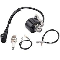 Algopix Similar Product 6 - Hipa Ignition Coil with Spark Plug for