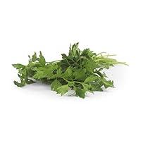 Algopix Similar Product 14 - Herb Italian Parsley Organic, 1 Bunch