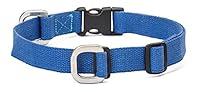 Algopix Similar Product 5 - West Paw Strolls Dog Collar with Hemp