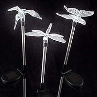 Algopix Similar Product 3 - Yard Decor Solar Outdoor LED Stake