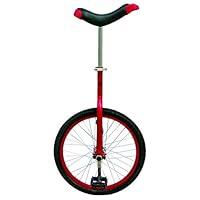 Algopix Similar Product 8 - Fun 20 Inch Wheel Unicycle with Alloy