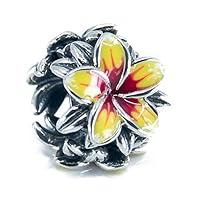 Algopix Similar Product 1 - Red and Yellow Tropical Flower Plumeria