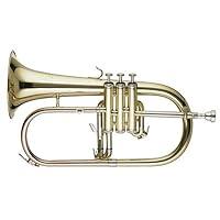 Algopix Similar Product 11 - Signature Series Flugel Horn