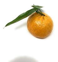 Algopix Similar Product 18 - Mandarin Honey Murcott Organic, 1 Each