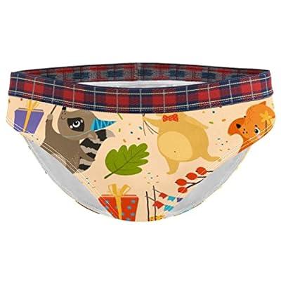 Best Deal for Happy Birthday Hedgehog Rabbit Fox Women's Panties