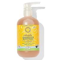Algopix Similar Product 10 - California Baby Calendula Shampoo and