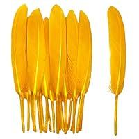 Algopix Similar Product 15 - 100pcs Yellow Gold Goose Feathers 46
