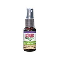Algopix Similar Product 18 - KONG  Naturals Catnip Spray for Cats 