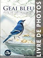 Algopix Similar Product 5 - Geai bleu Livre de Photos  Plus de