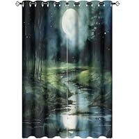 Algopix Similar Product 13 - Rustic Woodland Night Landscape