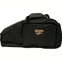Algopix Similar Product 15 - Oscar Schmidt AC445 Autoharp Gig Bag