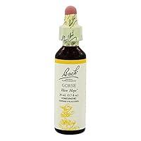 Algopix Similar Product 6 - Bach Original Flower Remedies  Gorse