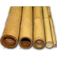 Algopix Similar Product 12 - Backyard Xscapes Natural Bamboo Poles
