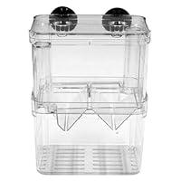 Algopix Similar Product 19 - Fish Breeding Box Aquarium Incubator