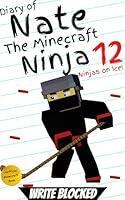 Algopix Similar Product 11 - Diary of Nate The Minecraft Ninja 12