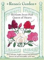 Algopix Similar Product 5 - Sweet Pea - Queen of Hearts Seeds