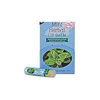 Algopix Similar Product 2 - Earth Mama Angel Baby Herbal Lip Balm