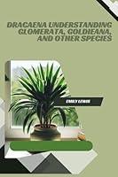 Algopix Similar Product 2 - Dracaena Understanding Glomerata