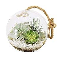 Algopix Similar Product 7 - Arcadia Garden Products TE22 Hanging