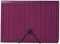 Algopix Similar Product 11 - Esselte 7 Pocket Letter Poly Expanding