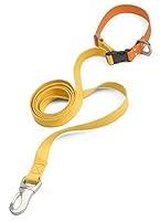 Algopix Similar Product 4 - WEST PAW Jaunts Dog Leash with Comfort